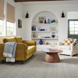 Image depicting the Service Carpet